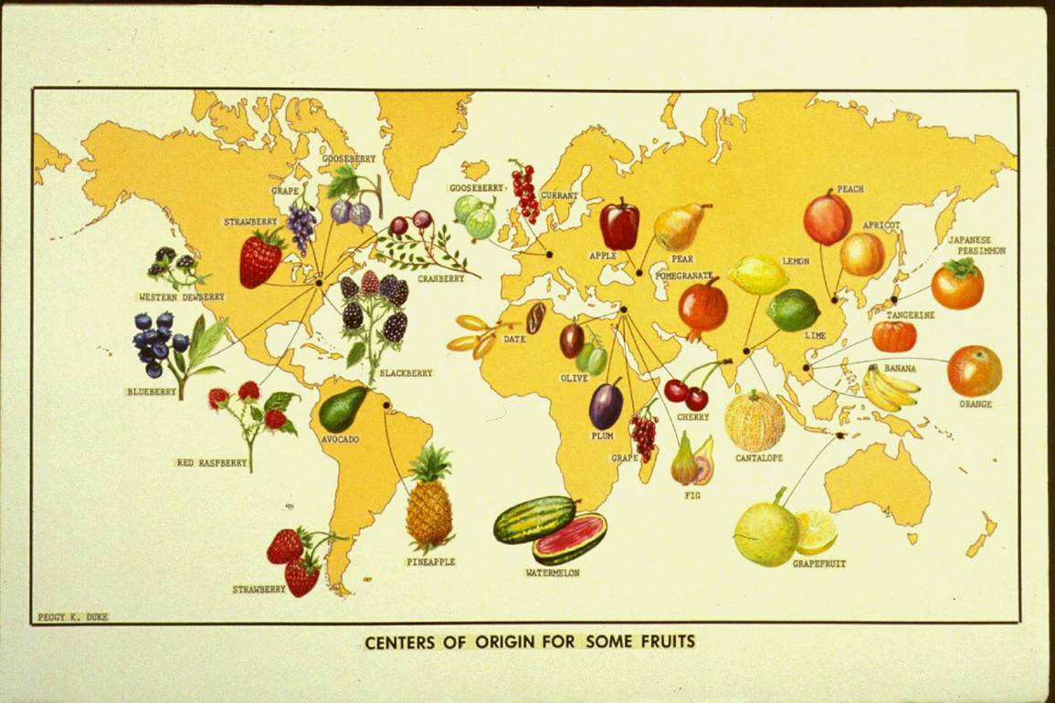 Fruit Origins Midwest Fruit Explorers