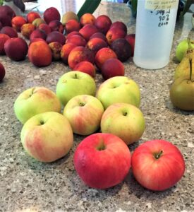 Nectarines and apples
