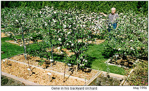 Gene in orchard 1996