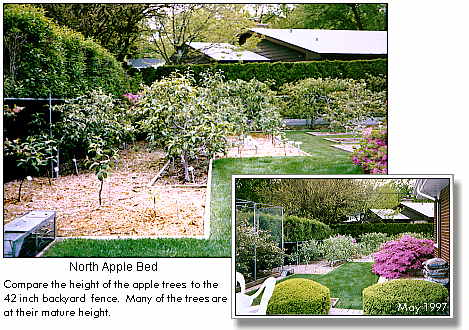 Gene's North Apple Bed