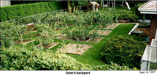 Gene's backyard panoramic view