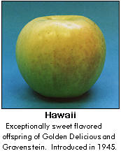 Hawaii apple