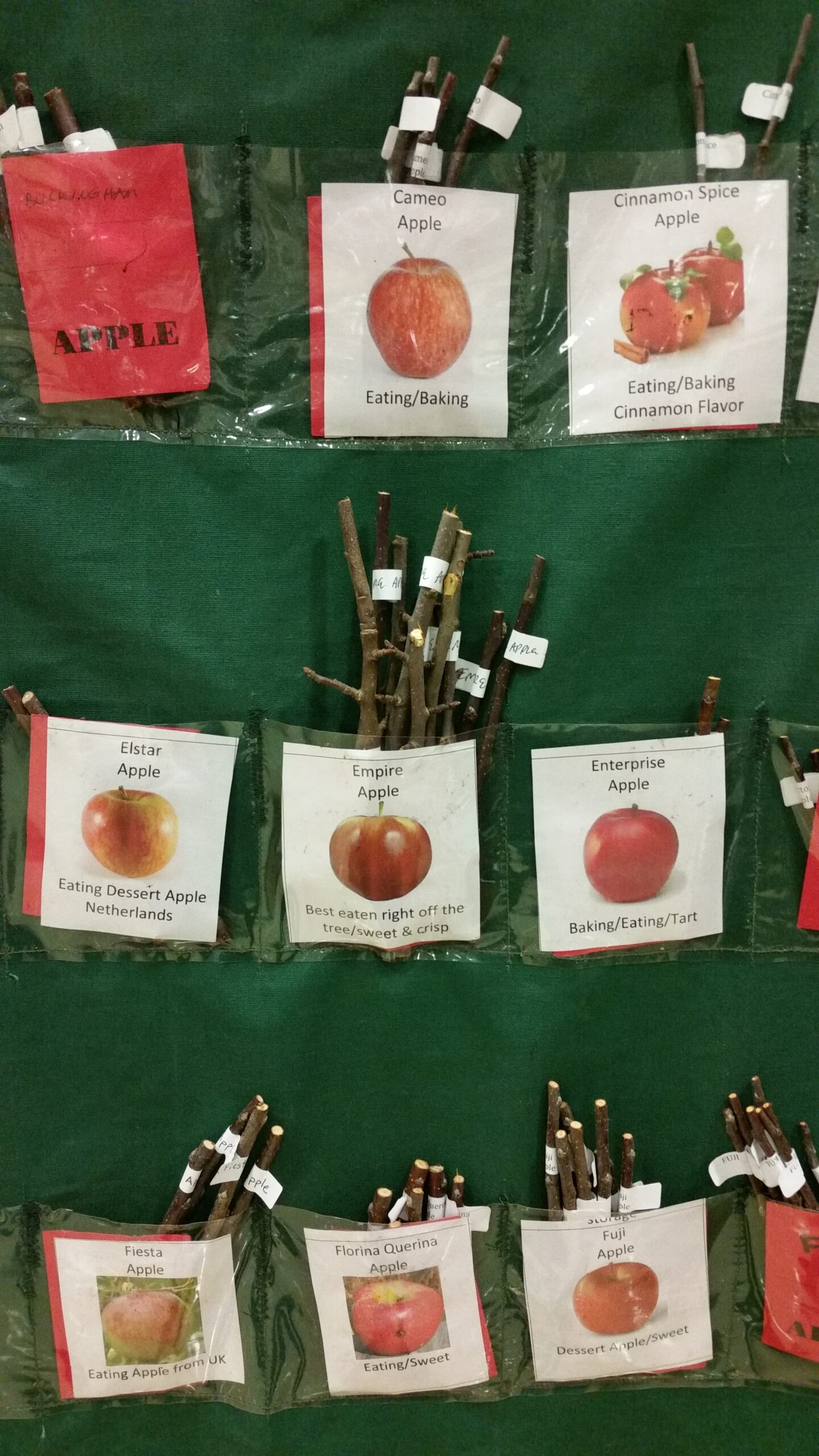 2023 Grafting Workshop Sunday March 26