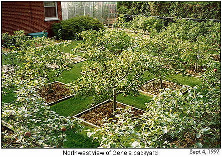Gene's garden - northwest view 1997