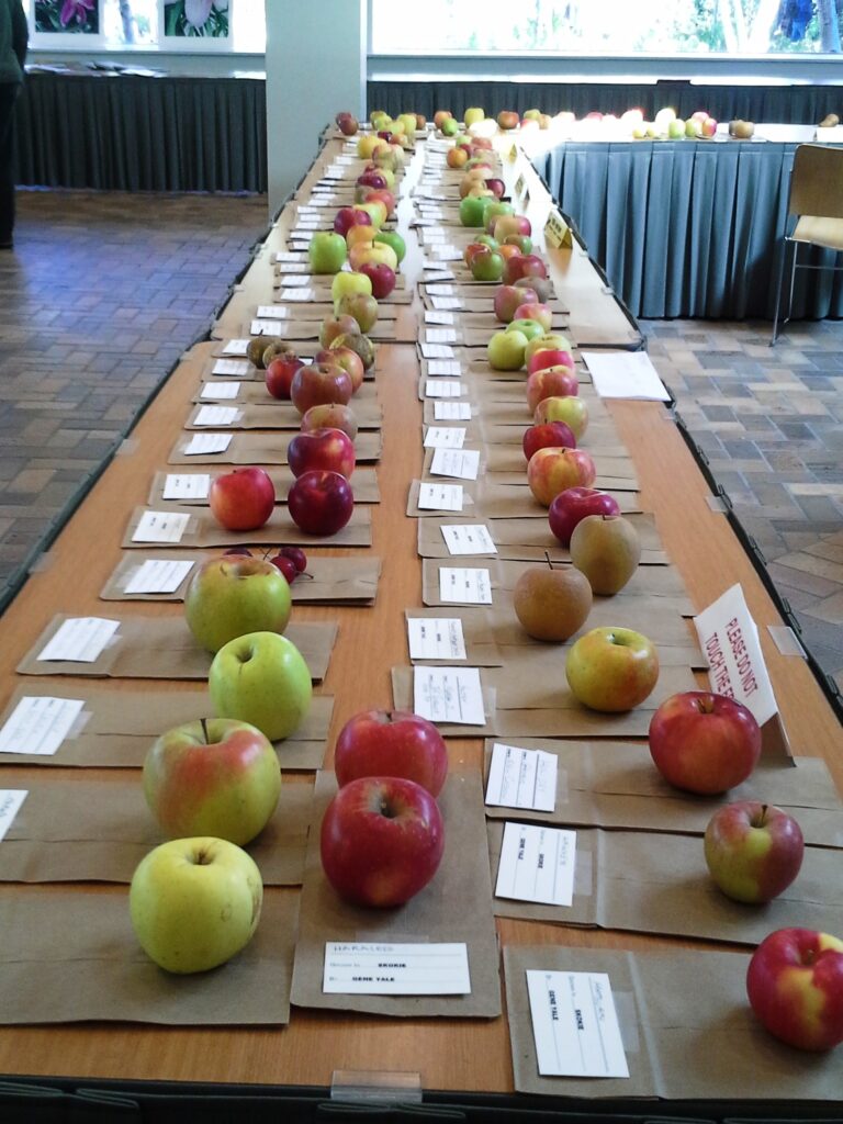 2015 Harvest Festival @CBG