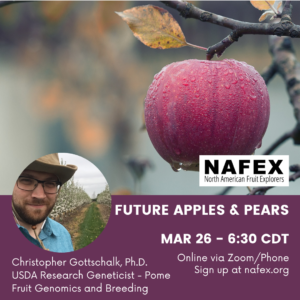 NAFEX_Future Apple & Pear Breeding Workshop flyer