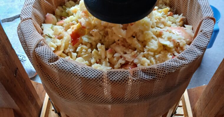 Cider Social – Sunday November 2, 2025