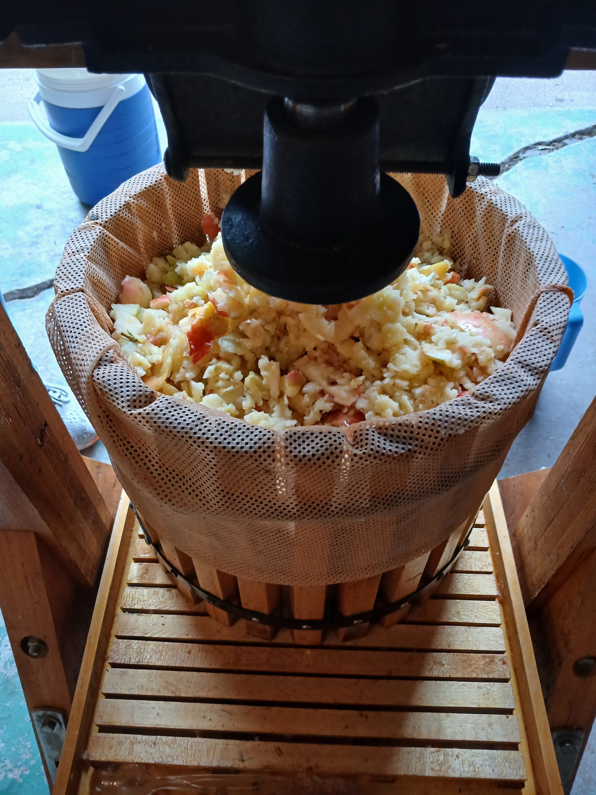 Cider Social – Sunday November 2, 2025