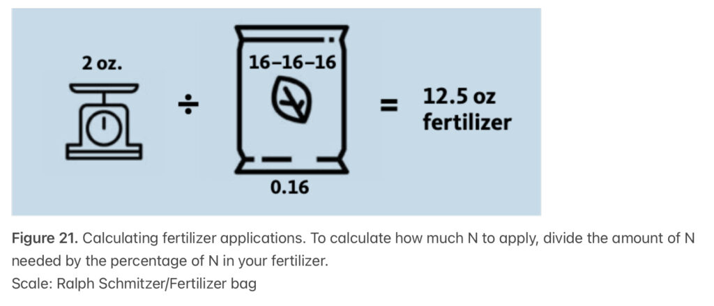 Raspberry, Fertilizer