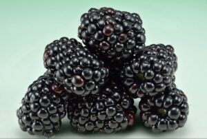 Blackberries by Ivar Leidus