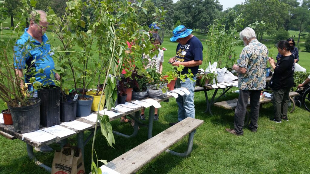 auction table at 2023 MidFex summer picnic