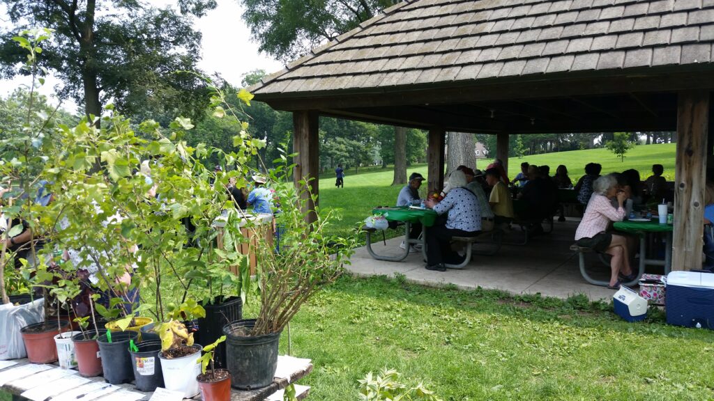 the scene at the 2023 MidFex summer picnic