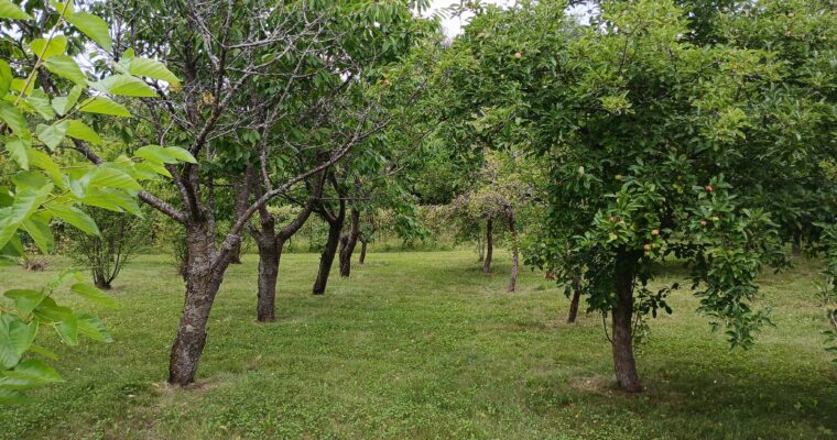 Illinois Beginning Orchard Academy – Spring 2026