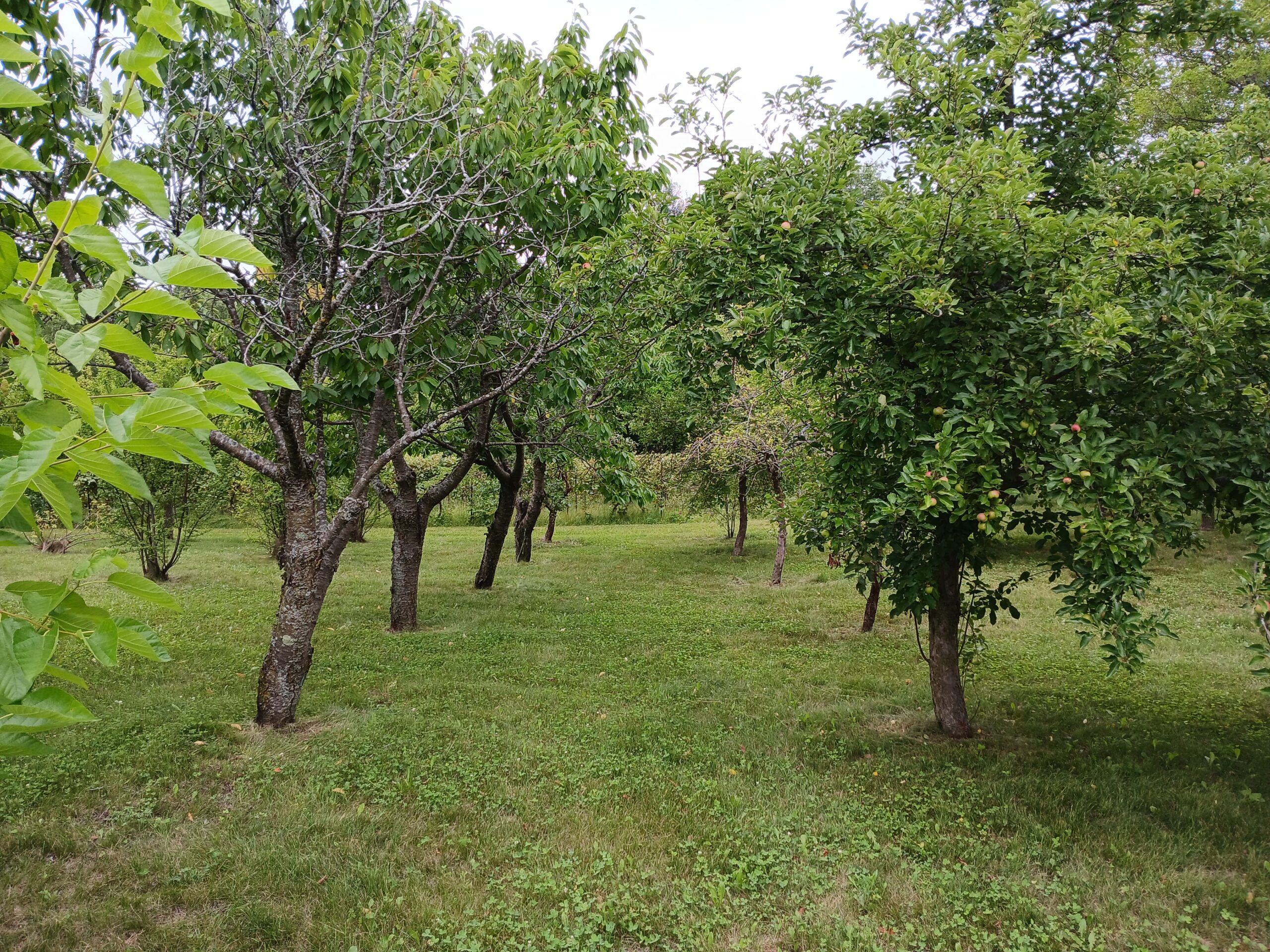 Illinois Beginning Orchard Academy – Spring 2026