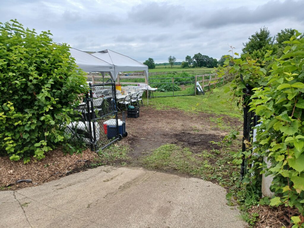 picnic venue at Rudawski family farm