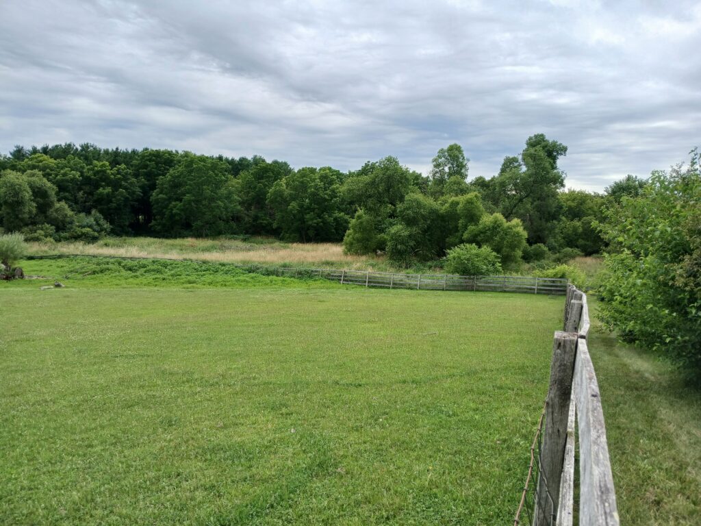pastoral view at Rudawski family farm