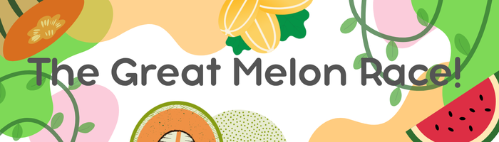 2026 Fruit Exploration- The Great Melon Race